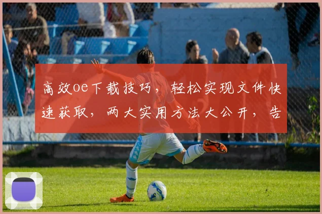 高效oe下载技巧，轻松实现文件快速获取，两大实用方法大公开，告别繁琐