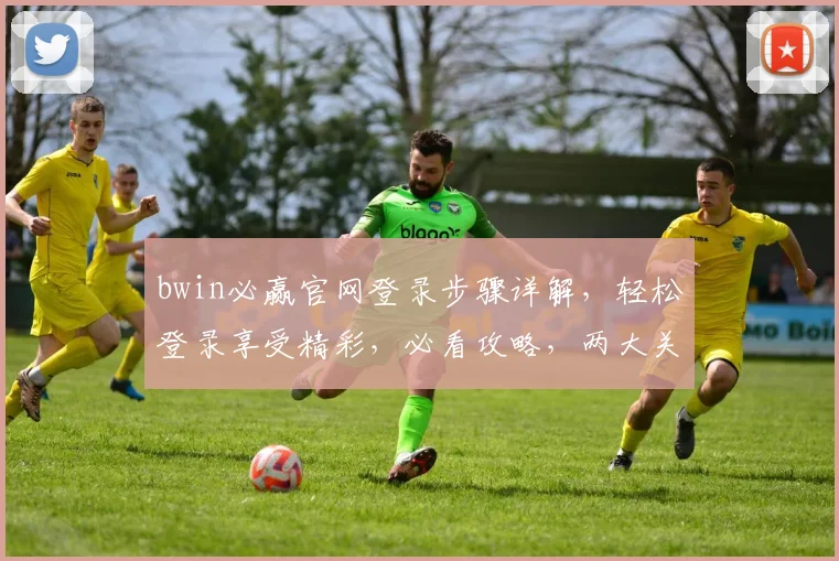 bwin必赢官网登录步骤详解，轻松登录享受精彩，必看攻略，两大关键点