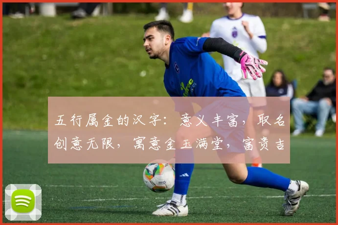 五行属金的汉字：意义丰富，取名创意无限，寓意金玉满堂，富贵吉祥，智慧闪耀。
