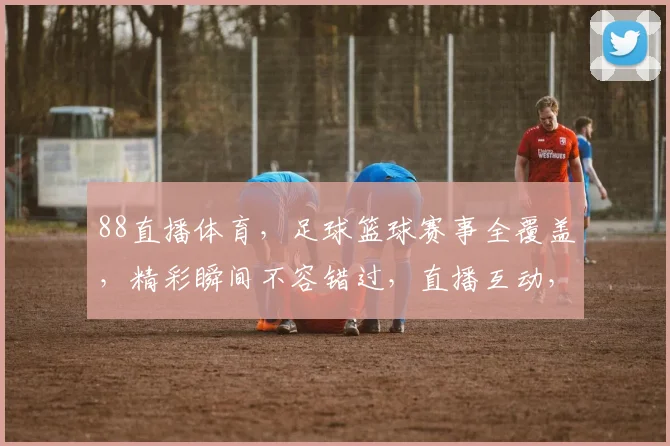88直播体育，足球篮球赛事全覆盖，精彩瞬间不容错过，直播互动，尽享观赛乐趣，三网通播，体验更佳